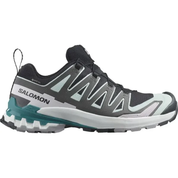 Chaussures de trail Femme SHOES XA PRO 3D V9 GTX Noir